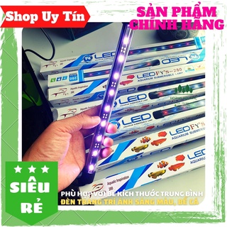 Đèn led màu giá rẻ trang trí hồ cá, đèn chìm nước cho bể 30cm, 40cm