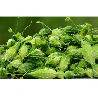 Hạt Giống Mướp Đắng/ Khổ Qua Rừng Năng Suất Cao