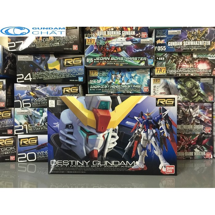 Mô hình lắp ráp Gundam RG Destiny ZGMF-X42S Bandai - Gundamchat