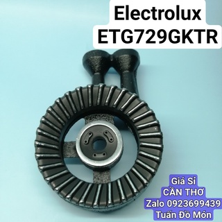 Bộ đầu đốt Bếp ga đôi Electrolux ETG729GKTR phụ kiện phụ tùng linh kiện chính hãng
