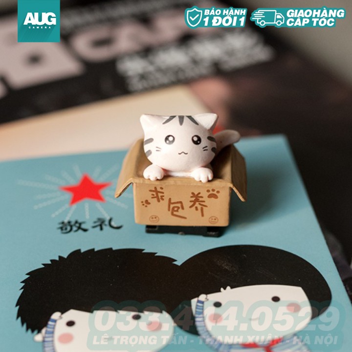 Hotshoe hình Mèo Cute cài chân che flash máy ảnh - AUG Camera Hà Nội