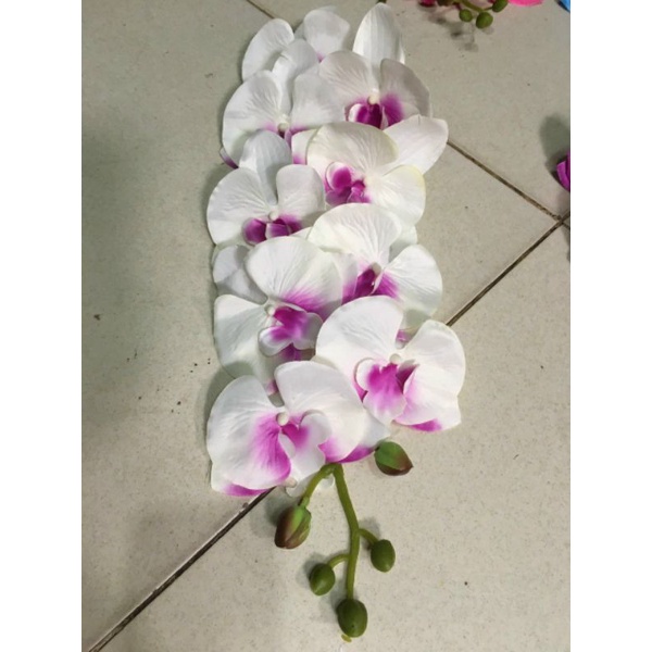 Cành Lan Hồ Điệp 9 bông_ Hoa Lan Vải cao cấp