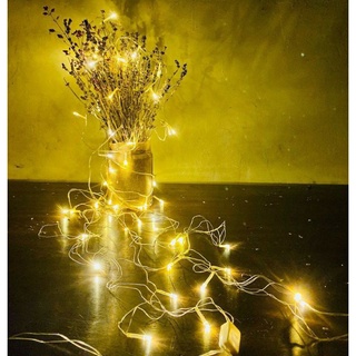 Dây Đèn Led màu vàng chạy pin AA dài 3 mét - Đèn đom đóm Fairy Light dây đồng