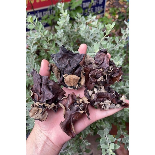 Mộc nhĩ rừng giòn thơm