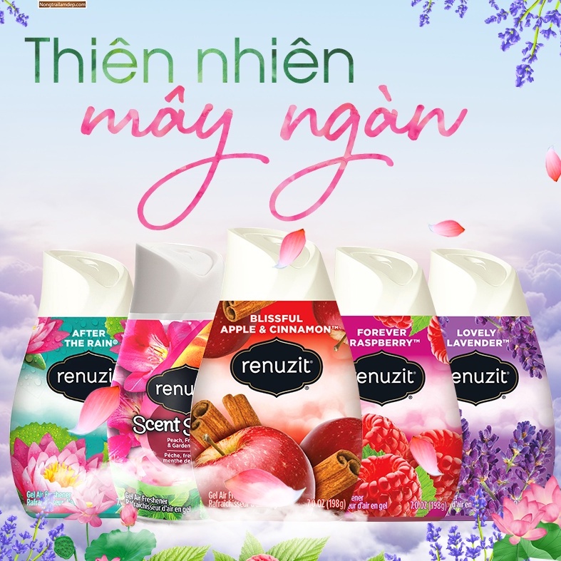 Sáp thơm phòng, khử mùi Renuzit 198gr từ Mỹ nhiều mùi