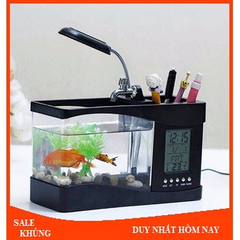 Bể Cá Mini Để Bàn Phong Thủy