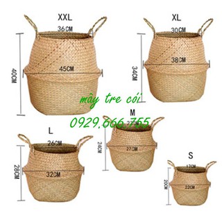 Combo bộ giỏ cói đựng đồ, trồng cây