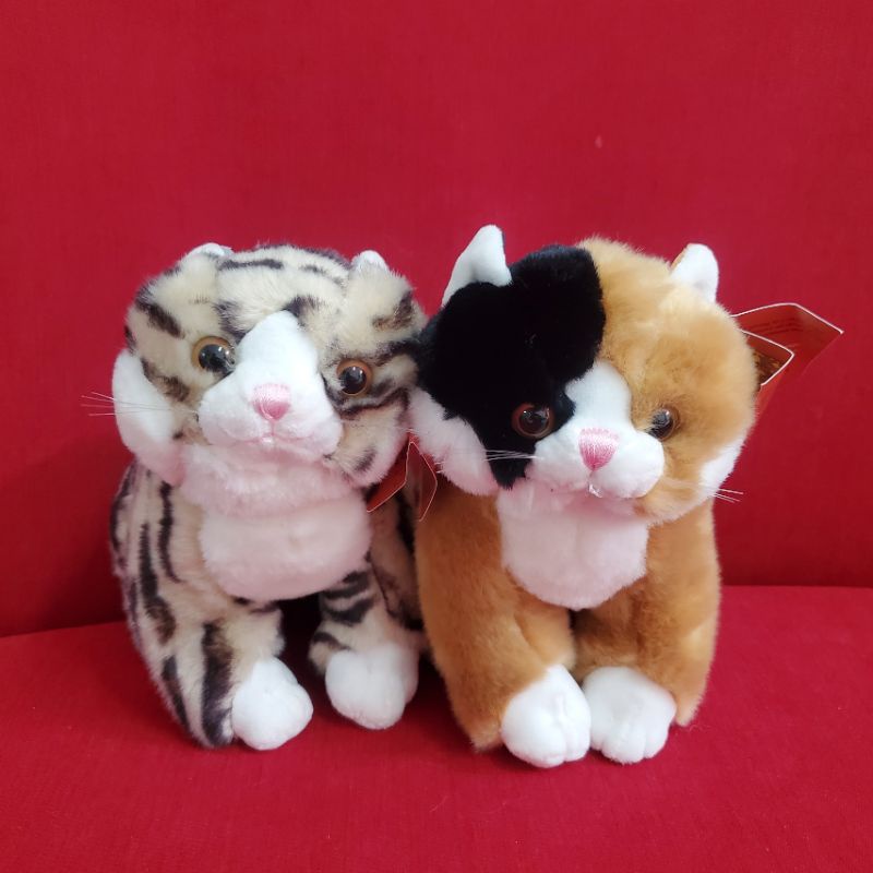 Gấu Bông Mèo Cưng Kitten Dễ Thương Búp Bê Thú Nhồi Bông  Quà Sinh Nhật MIRA-GB28022