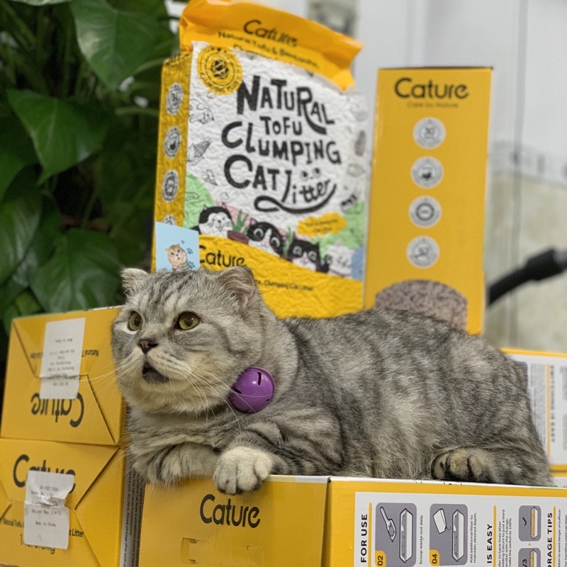 Cát Vệ Sinh Cho Mèo Đậu Nành Hữu Cơ AATAS Và CATURE