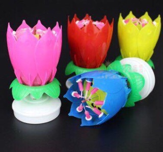 Nến sinh nhật nở hoa
