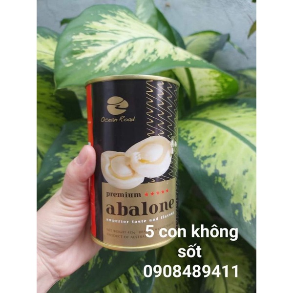 Bào Ngư Úc đóng lon nhập trực tiếp từ Úc. Abalone loại 5 con không sốt 425g .Hàng sẵn Sỉ sl alo