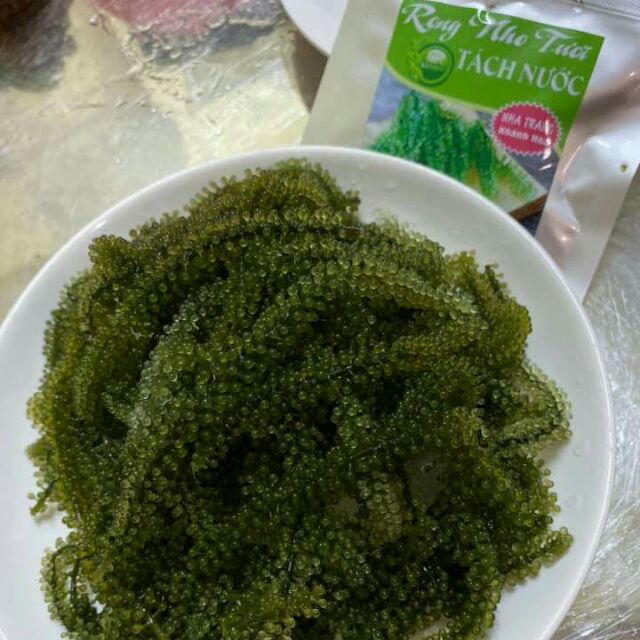 [ 100gr ] Rong nho tách nước nở ra 300g rong tươi | BigBuy360 - bigbuy360.vn