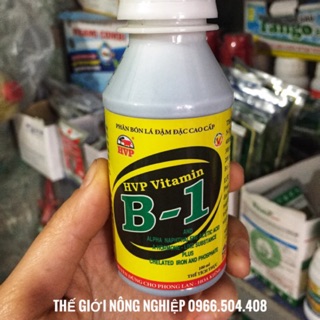 Phân bón lá vitamin b1 100ml-250ml