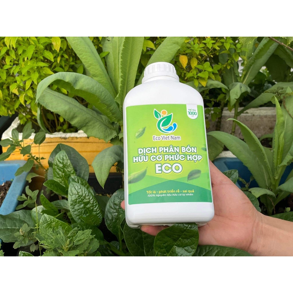 Dịch phân bón hữu cơ phức hợp Eco