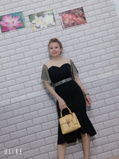 Đầm thiết kế