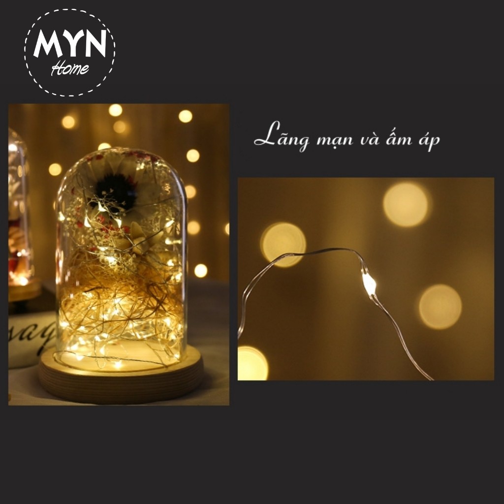 Dây đèn led đom đóm fairylight 3 mét dùng pin