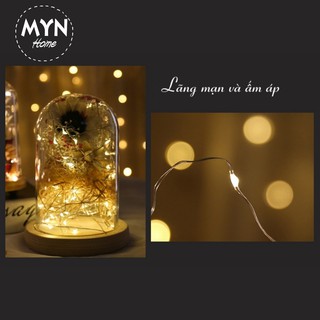 Dây đèn led đom đóm fairylight 3 mét dùng pin