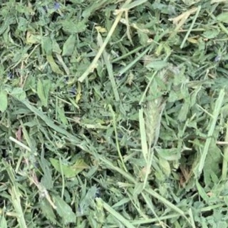 Cỏ khô Alfalfa, alfalfa hay, cỏ linh lăng Mỹ cho thỏ, bọ ú,chinchilla dưới 6 tháng tuổi