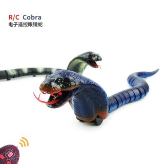 Stokn[loyi}Remote Control Simulation Cobra Tidy Funny Children’S Toy Birthday G