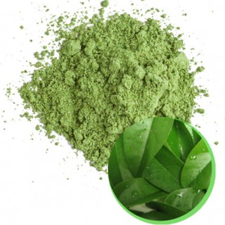 Bột thạch lá găng nguyên chất 100g
