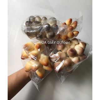 NẤM TRANG TRÍ