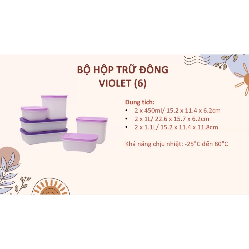 Bộ 6 Hộp Tuppeware Trữ Đông Violet Đựng Thực Phẩm