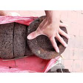 CHẬU DỚN TRỒNG LAN (DỚN ĐĨA)