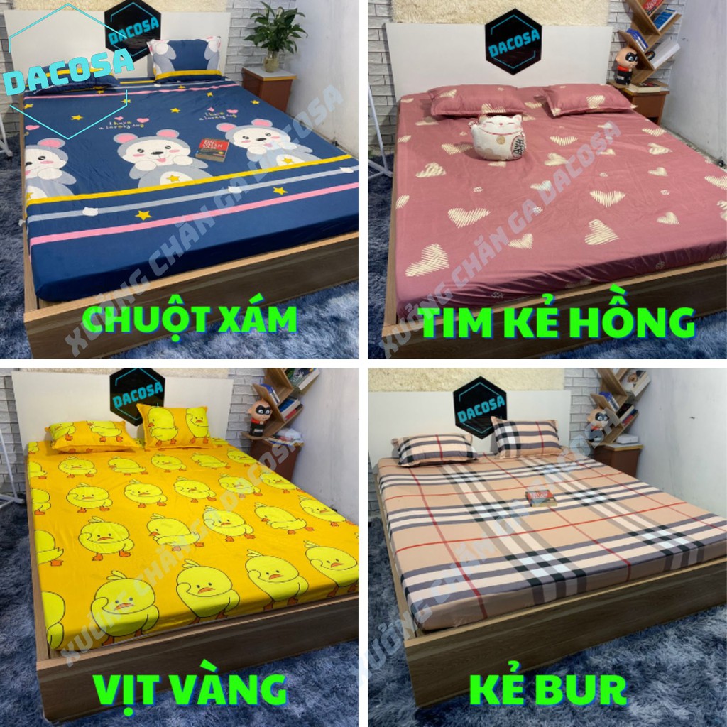 Ga giường đẹp miễn phí bo chun kèm 2 vỏ gối cao cấp giá rẻ