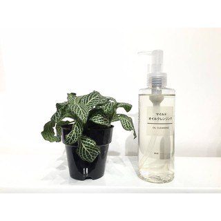 Dầu tẩy trang Muji