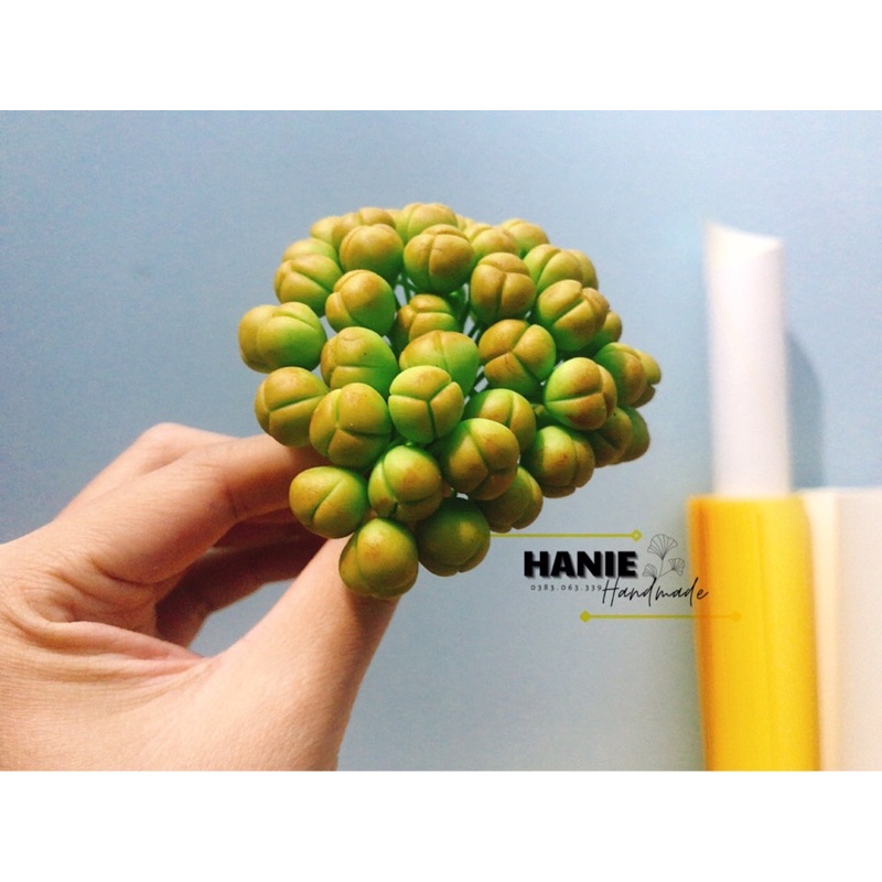 NỤ LAN HỒ ĐIỆP ĐẤT SÉT ( 50 NỤ)