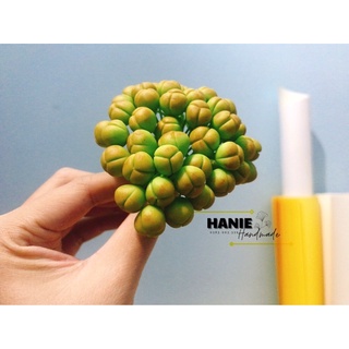 Nụ lan hồ điệp đất sét