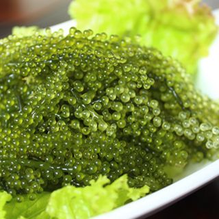 Rong nho tươi biển ninh thuận 1kg