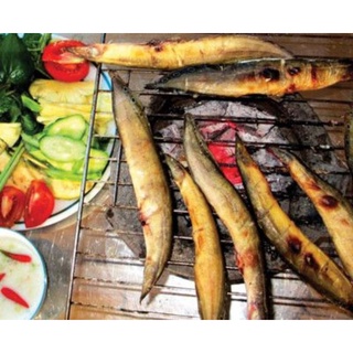 Khô cá chạch trung 500g