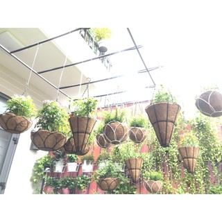 [GREEN HOUSE] Chậu treo xơ dừa chóp nón trang trí