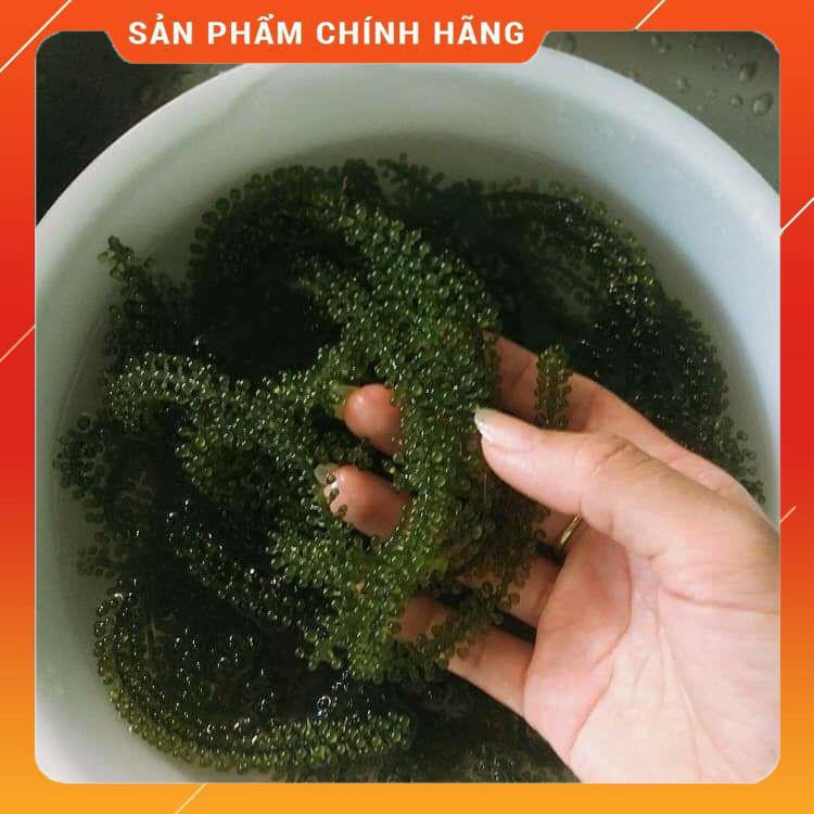 Rong Nho Trường Thọ Cao Cấp - Combo 8 Hộp 16 Gói x 20G - Thần Dược Đại Dương | BigBuy360 - bigbuy360.vn