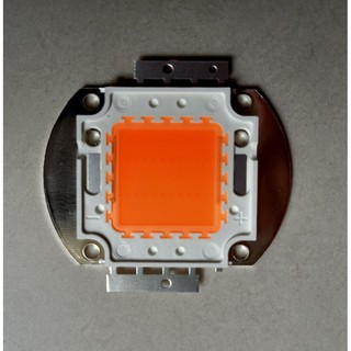 Epileds chip led 20w - cây trồng