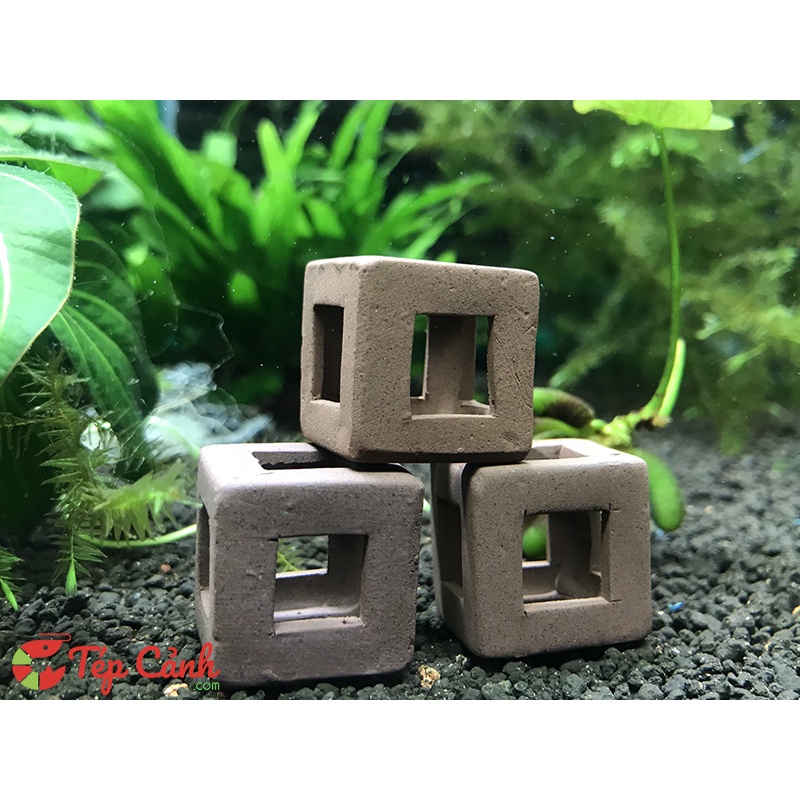 Đồ chơi cubic gốm sứ cho tép cảnh chơi
