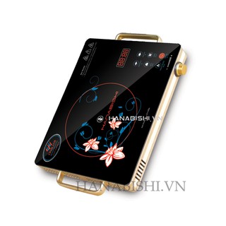 Bếp hồng ngoại Hanabishi HN-240