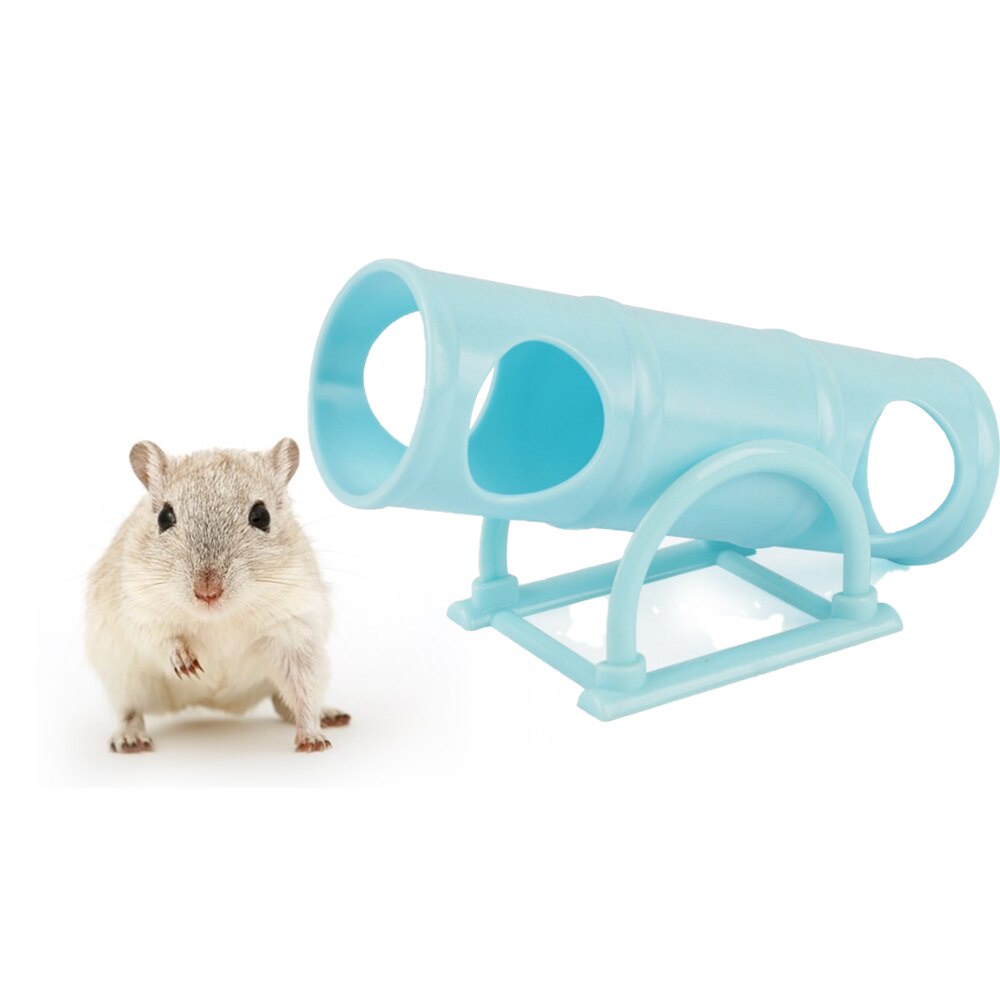 ống chui bập bênh đồ chơi cho Hamster