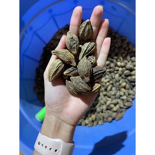 Siro quất húng chanh