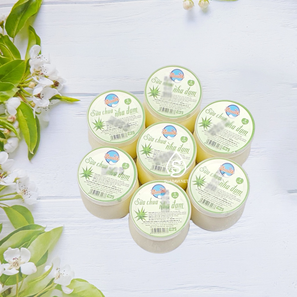 Sữa Chua Nha Đam Ba Vì - Zmilk - Hộp 12 Hũ