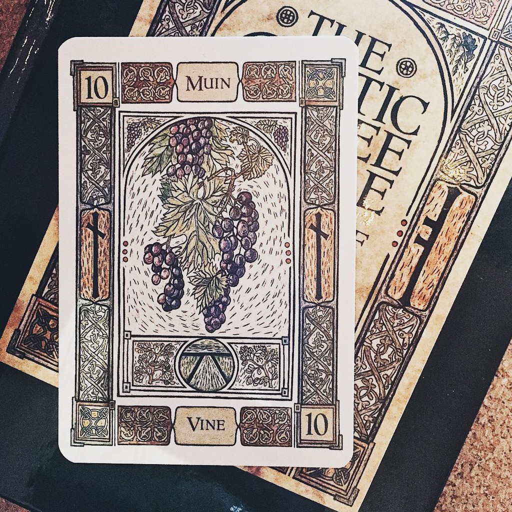 Bộ Bài Celtic Tree Oracle – A System of Divination (Mystic House Tarot Shop)