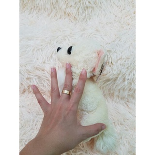 gấu bông con chó Chihuahua