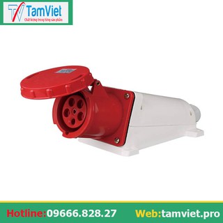 Ổ cắm công nghiệp gắn tường 3 pha 63A 5 chấu (cố định)[Sale Sốc]