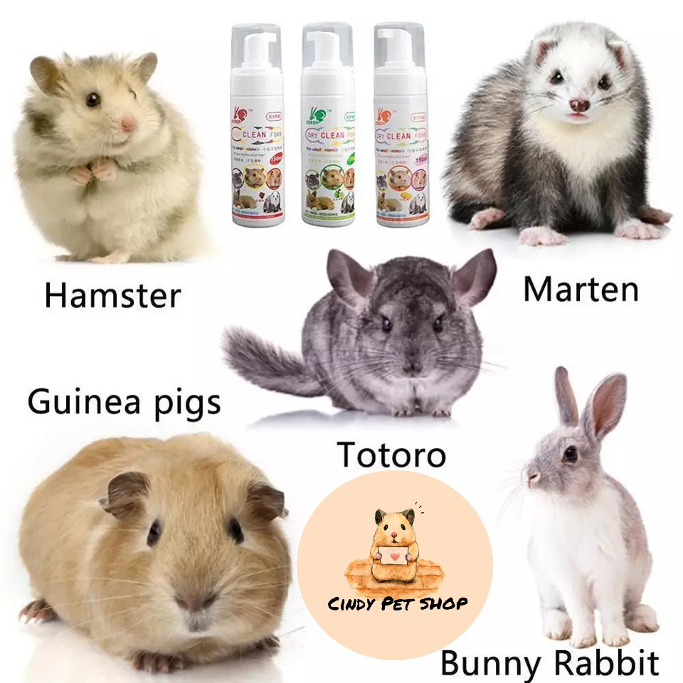 Bọt tắm khô cho Hamster, Sóc Bông, Sóc Bay, Sóc Đất, Thỏ, Bọ, Dumbo Rat...