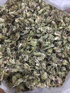 Hoa atiso Sa Pa 500g