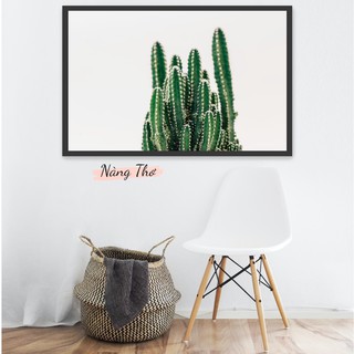Decal xương rồng dán tường_nhiều kích thước