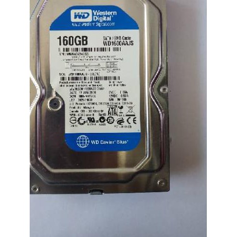 Ổ Cứng Ngoài 160gb Wd Sata Pc | BigBuy360 - bigbuy360.vn
