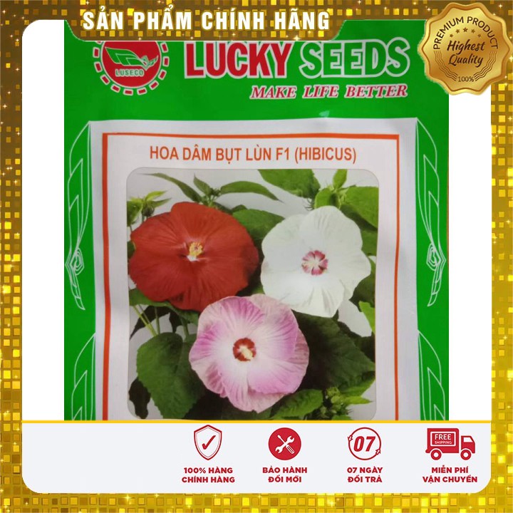 Hạt giống Hoa Dâm Bụt Lùn nhiều màu ( gói 10 hạt)