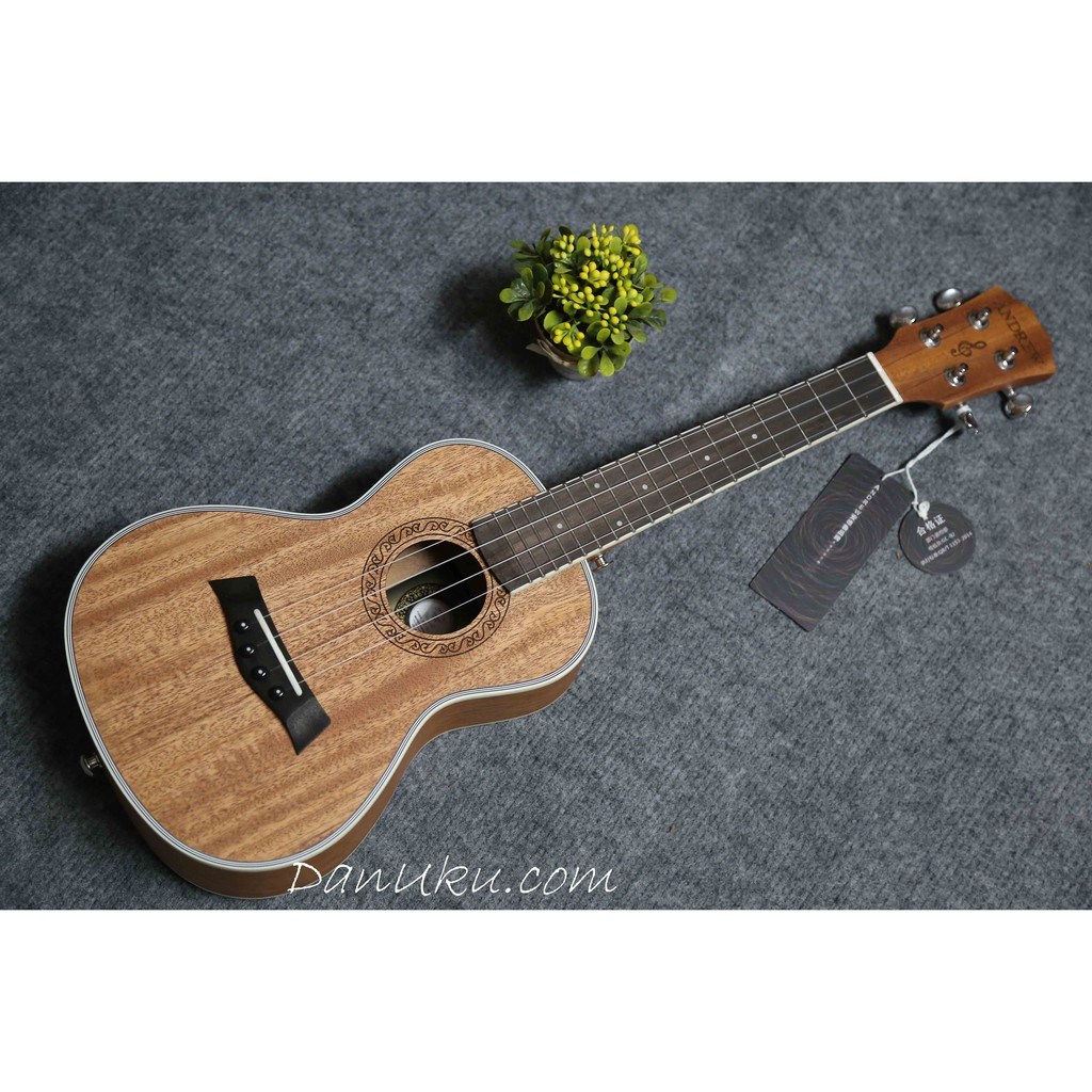 [FreeShip – Xả kho] Đàn ukulele Concert Andrew tặng Full phụ kiện